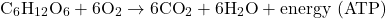 \[ \text{C}_6\text{H}_{12}\text{O}_6 + 6 \text{O}_2 \rightarrow 6 \text{CO}_2 + 6 \text{H}_2\text{O} + \text{energy (ATP)} \]