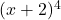 (x + 2)^4