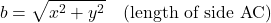 \[ b = \sqrt{x^2 + y^2} \quad \text{(length of side AC)} \]