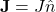 \[ \mathbf{J} = J \hat{n} \]