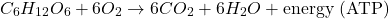 \[ C_6H_{12}O_6 + 6O_2 \rightarrow 6CO_2 + 6H_2O + \text{energy (ATP)} \]