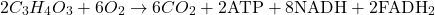 \[ 2C_3H_4O_3 + 6O_2 \rightarrow 6CO_2 + 2 \text{ATP} + 8 \text{NADH} + 2 \text{FADH}_2 \]