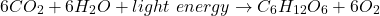 \[ 6CO_2 + 6H_2O + light \ energy \rightarrow C_6H_{12}O_6 + 6O_2 \]