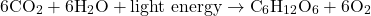 \[ 6 \text{CO}_2 + 6 \text{H}_2\text{O} + \text{light energy} \rightarrow \text{C}_6\text{H}_{12}\text{O}_6 + 6 \text{O}_2 \]