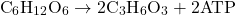 \[ \text{C}_6\text{H}_{12}\text{O}_6 \rightarrow 2 \text{C}_3\text{H}_6\text{O}_3 + 2 \text{ATP} \]