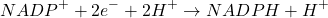 \[ NADP^+ + 2e^- + 2H^+ \rightarrow NADPH + H^+ \]