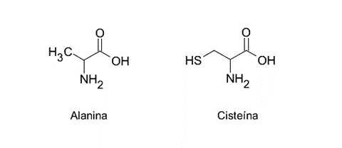 Asam amino