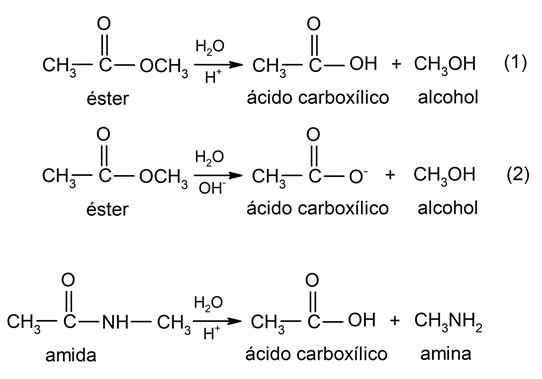 Hidrolisis Amida dan Ester