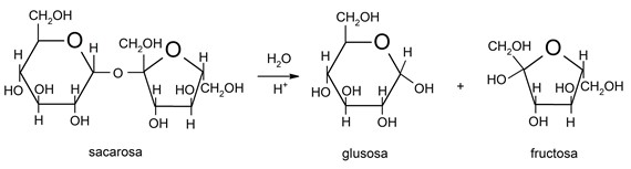 Hidrolisis polisakarida