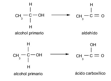 Alkohol primer