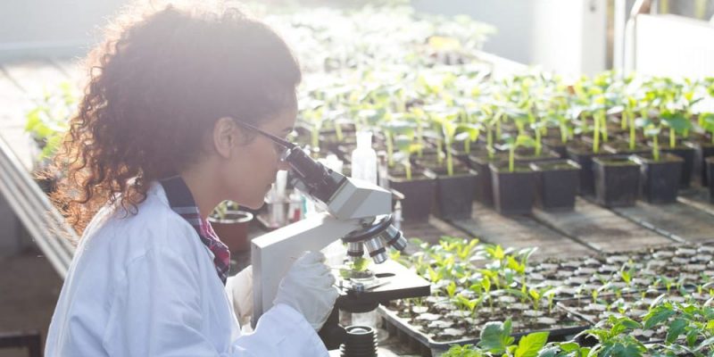 Agronomi mengacu pada banyak ilmu lain, seperti mikrobiologi.