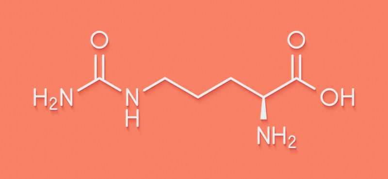 Protein – Konsep, jenis, kegunaannya, dan makanannya