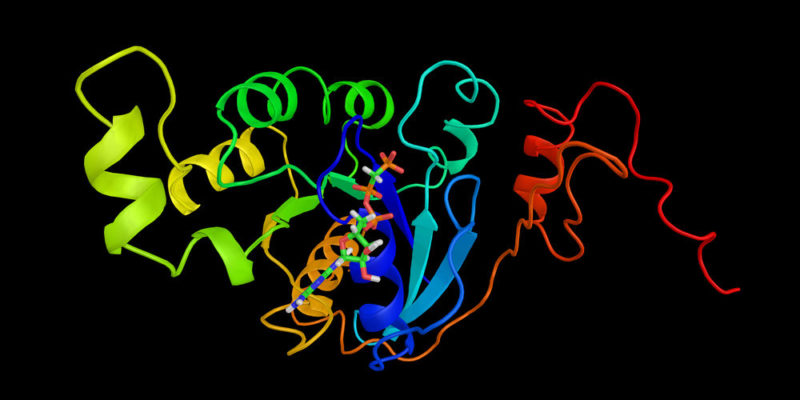 Biomolekul organik adalah produk reaksi kimia tubuh sendiri.