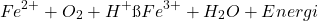 \[ Fe^{2+} + O_2 + H^+ → Fe^{3+} + H_2O + Energi \]