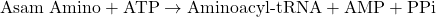 \[ \text{Asam Amino} + \text{ATP} \rightarrow \text{Aminoacyl-tRNA} + \text{AMP} + \text{PPi} \]