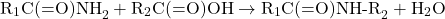 \[ \text{R}_1\text{C(=O)NH}_2 + \text{R}_2\text{C(=O)OH} \rightarrow \text{R}_1\text{C(=O)NH-R}_2 + \text{H}_2\text{O} \]