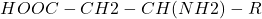 \[ HOOC-CH2-CH(NH2)-R \]