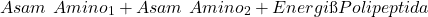 \[ Asam\ Amino_1 + Asam\ Amino_2 + Energi → Polipeptida \]