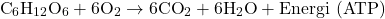 \[\text{C}_6\text{H}_{12}\text{O}_6 + 6\text{O}_2 \rightarrow 6\text{CO}_2 + 6\text{H}_2\text{O} + \text{Energi (ATP)}\]