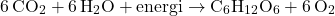 \[ 6 \, \text{CO}_2 + 6 \, \text{H}_2\text{O} + \text{energi} \rightarrow \text{C}_6\text{H}_{12}\text{O}_6 + 6 \, \text{O}_2 \]