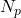 N_p